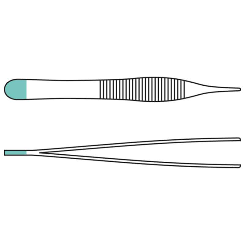 Adson Anatomical Thumb Forceps, Straight, 12 cm