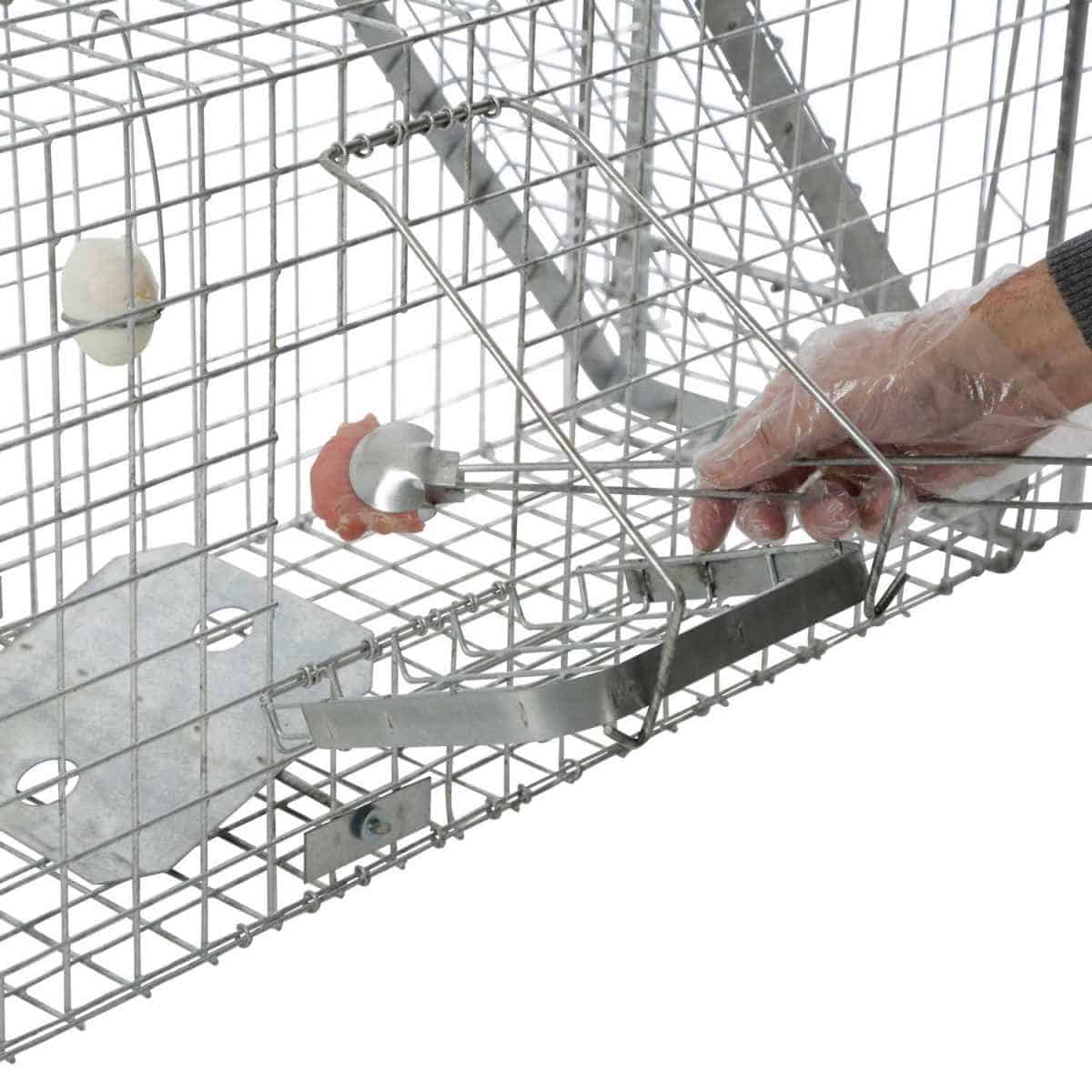 Live Trap with Accessories