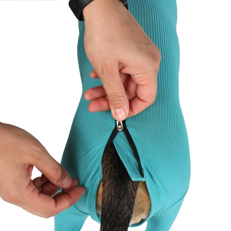 Canine Wound Protection Body "Legs & Zipper" XXS
