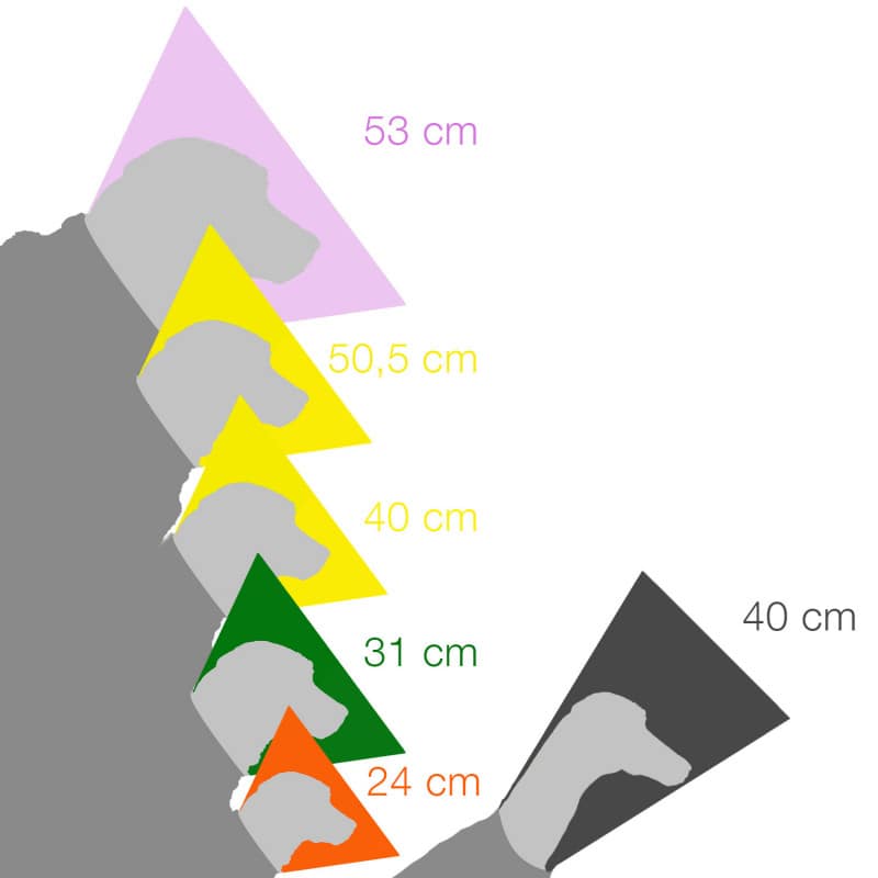 Elizabethan Collar Set Textile