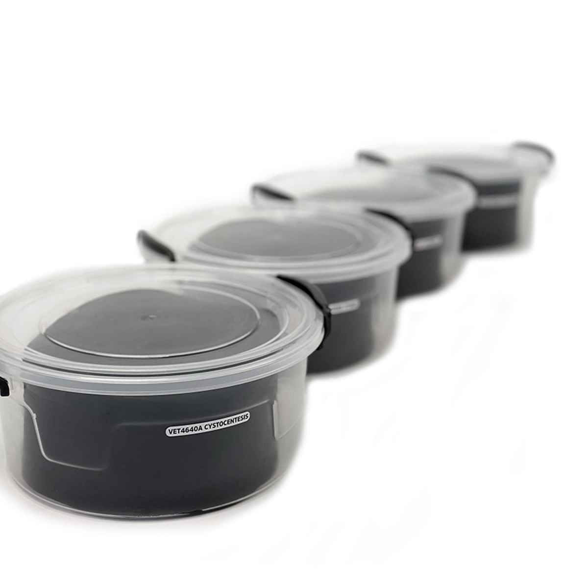 Ultrasound Trainer Dog Bladder