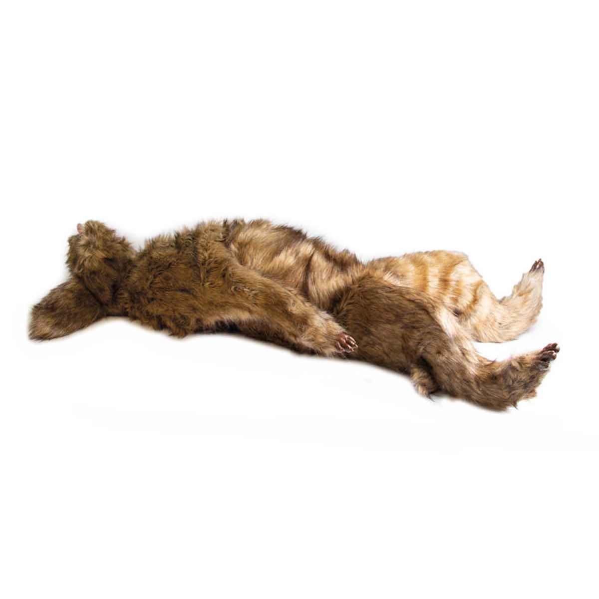 Rocky Canine Positioning Manikin