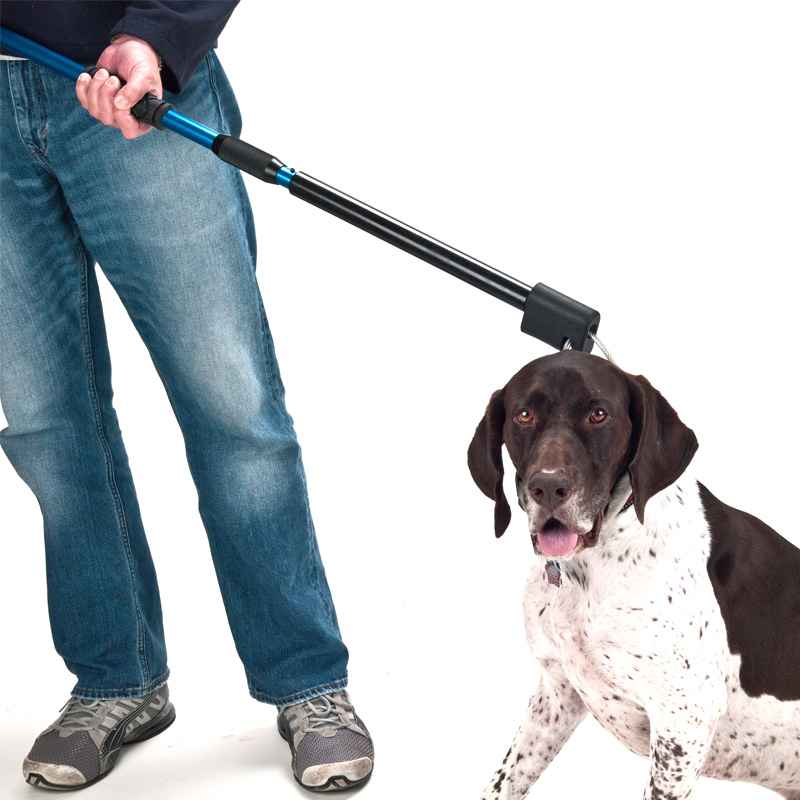 Automatic Dog Catch Pole
