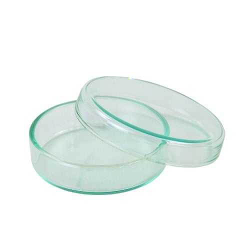 Petri Dish with Lid 10 cm
