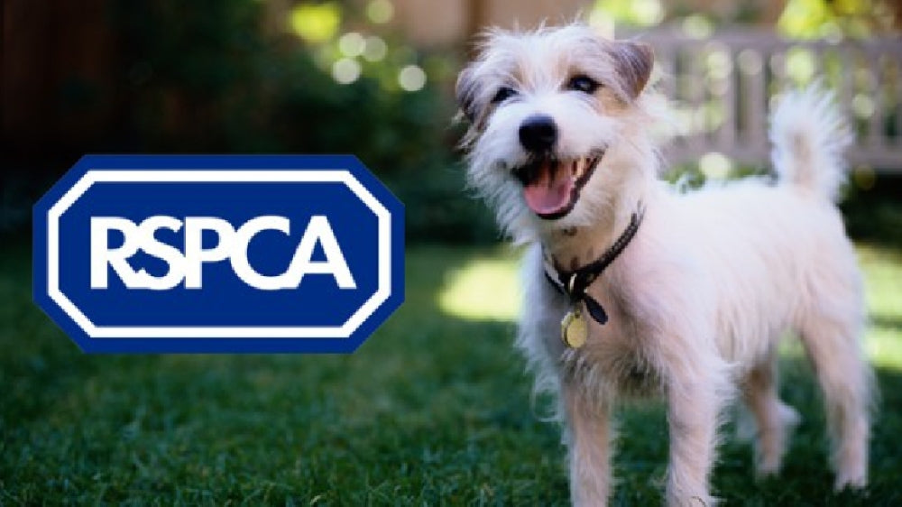 Supporting the RSPCA, One Paw at a Time!