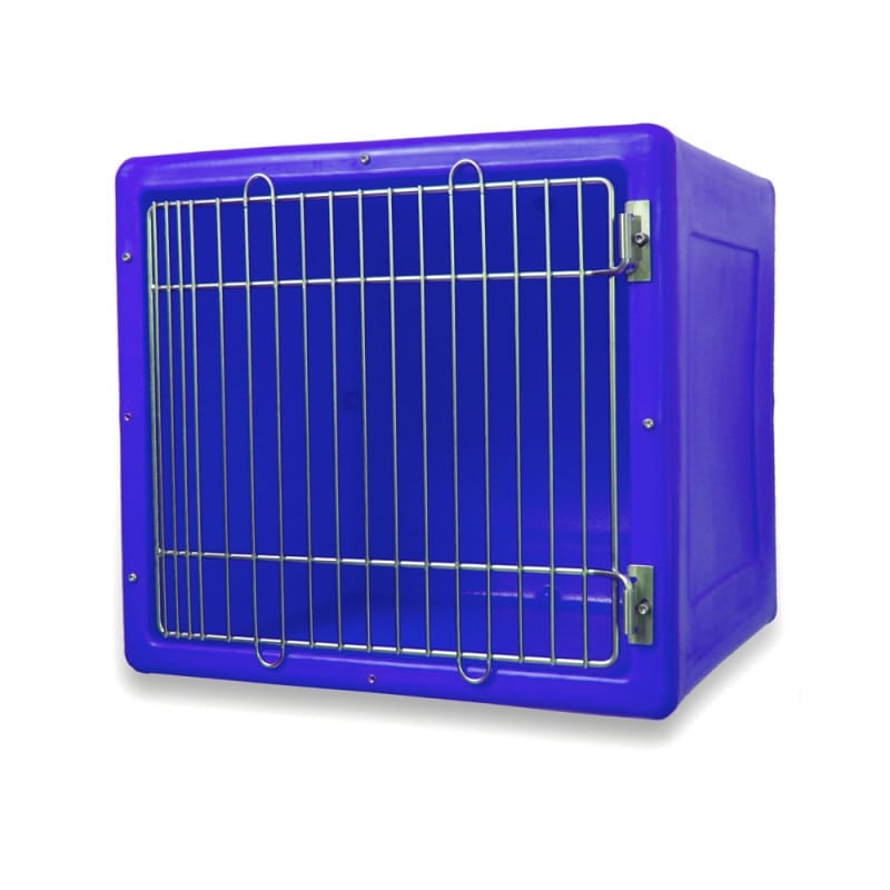Quarantine Box blue