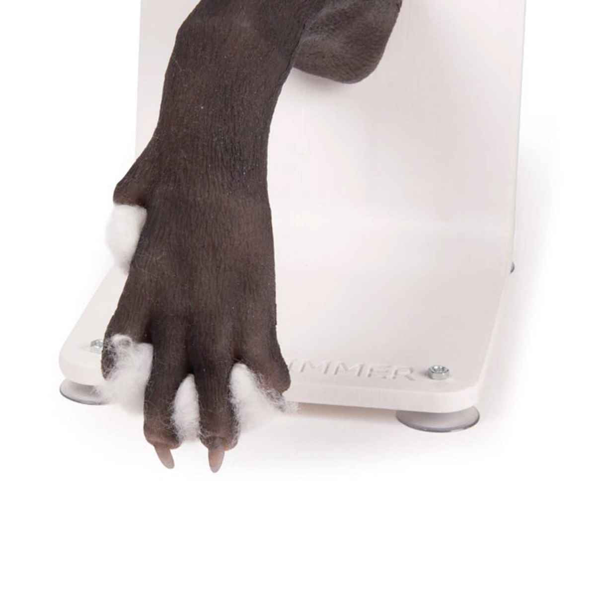 Bandage Trainer Canine Paw