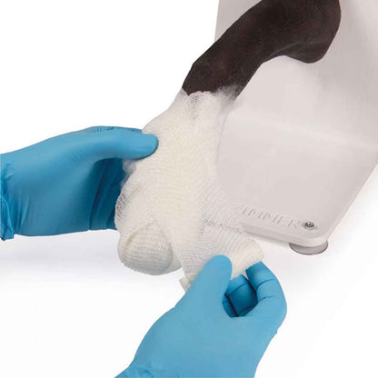 Bandage Trainer Canine Paw