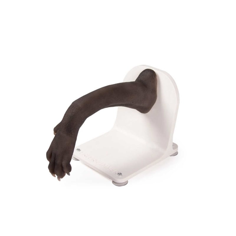 Bandage Trainer Canine Paw