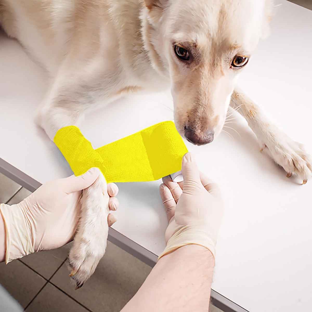 Self-Adhesive Conforming Bandages with Bitter Coating 5.0 cm