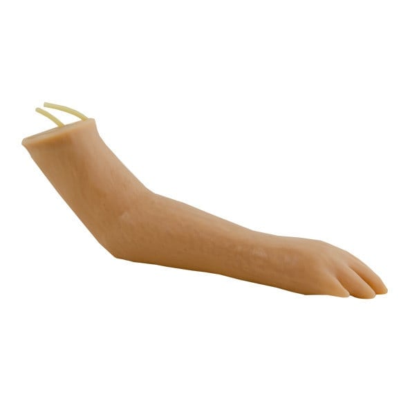 Injection Trainer «Canine Paw»