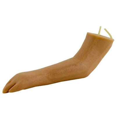 Injection Trainer «Canine Paw»