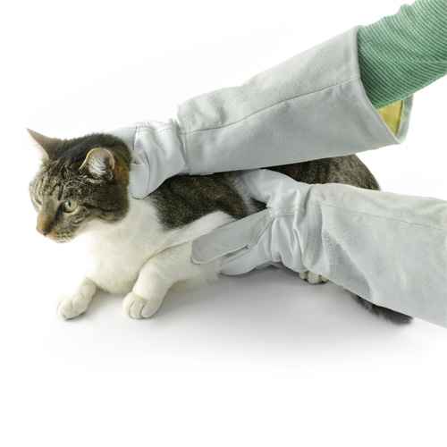 «Profi» Safety Gloves