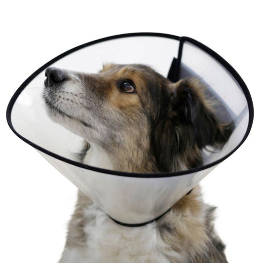 Elizabethan Collar for Dogs 30 cm
