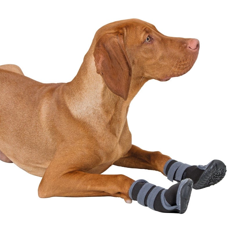 Dog Shoes «Active» S