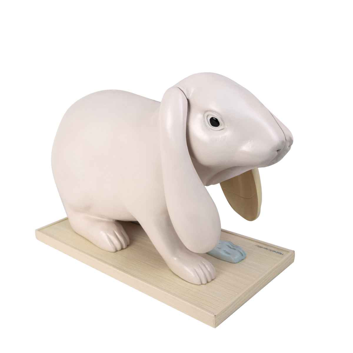 Disassemblable Rabbit Model