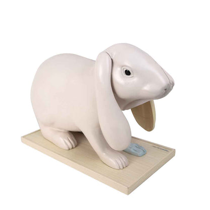Disassemblable Rabbit Model