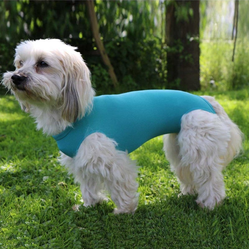 Wound Protection Body Female | S+