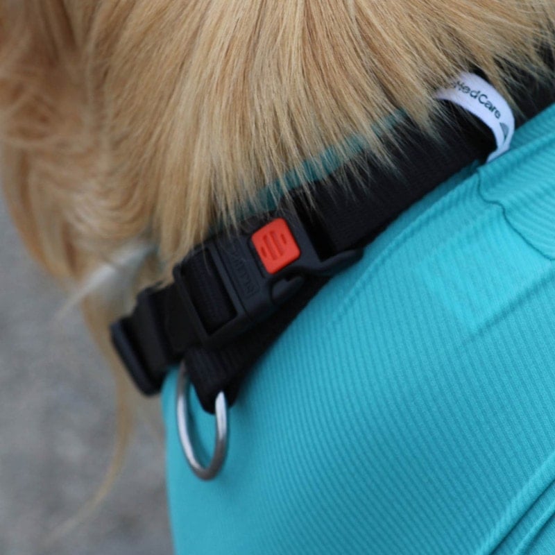 Canine Wound Protection Body "Legs & Zipper" XXS