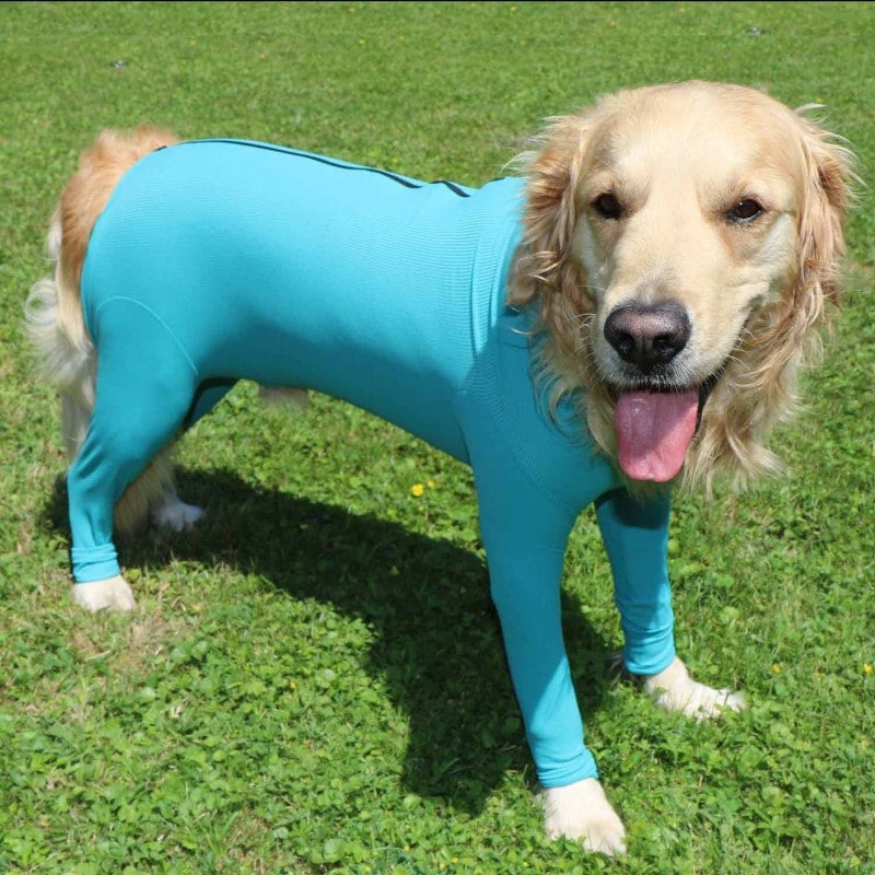 Canine Wound Protection Body "Legs & Zipper" XS