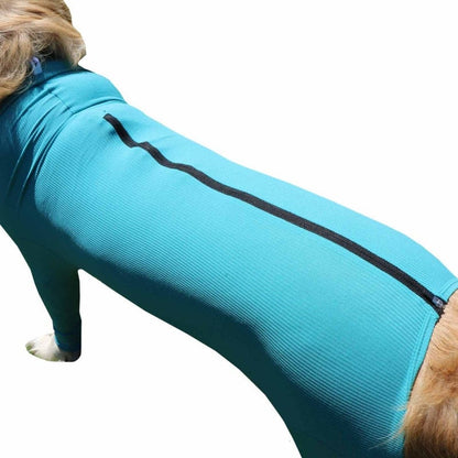 Canine Wound Protection Body "Legs & Zipper" XXS