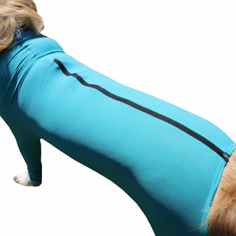 Canine Wound Protection Body "Legs & Zipper" XS