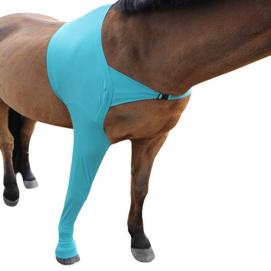 Horse Legging front leg | L