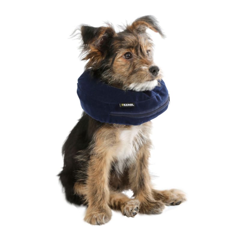 Neck Brace for Dogs S