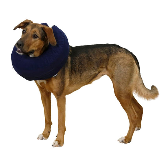 Neck Brace for Dogs L