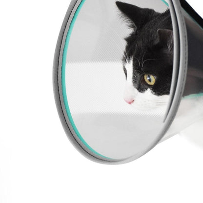 VELFAST® Elizabethan Collar Set, padded 20 cm