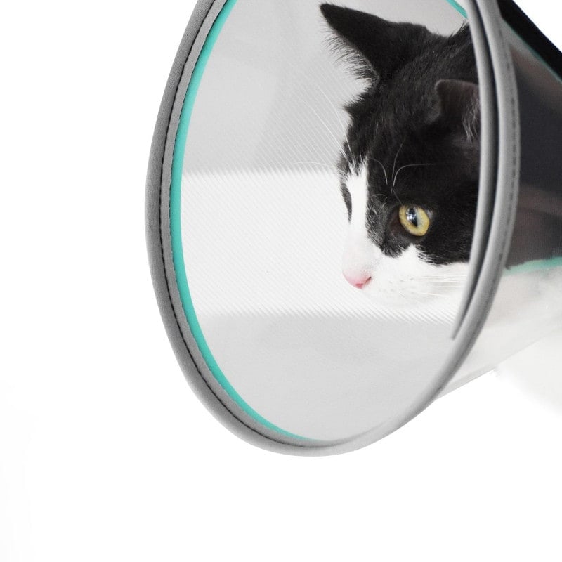 VELFAST® Elizabethan Collar Set, padded 10 cm