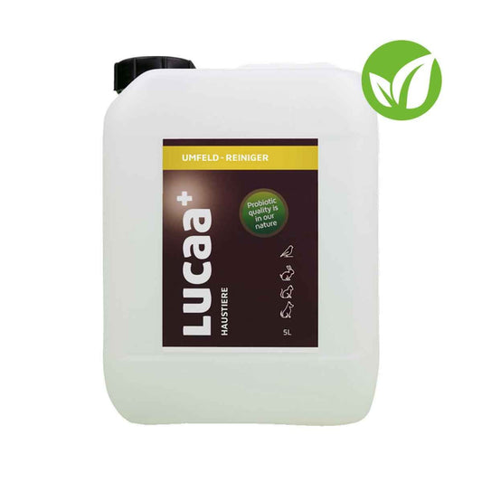 LUCAA+ Probiotischer Surface Cleaner 5 litres