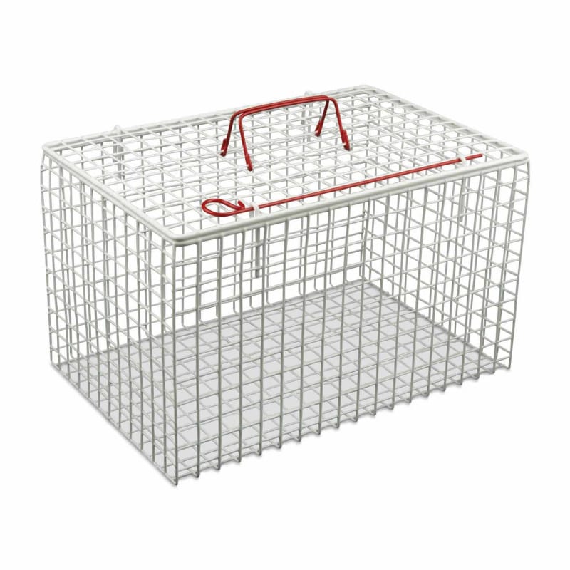 Metal Cat Cage