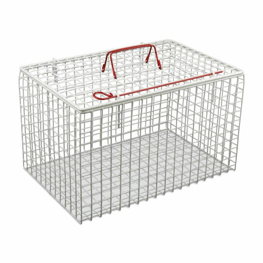 Metal Cat Cage