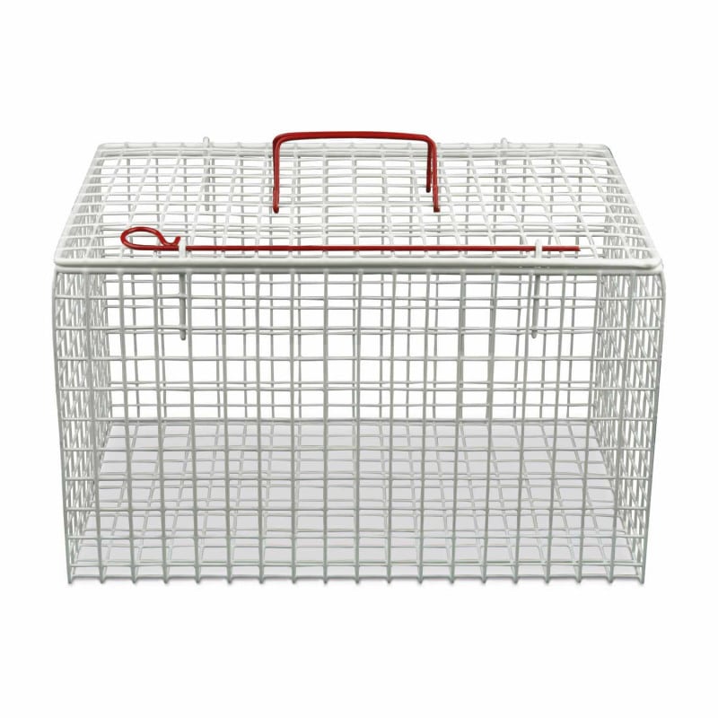 Metal Cat Cage