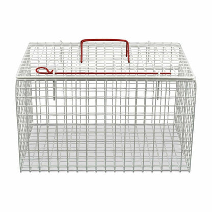 Metal Cat Cage