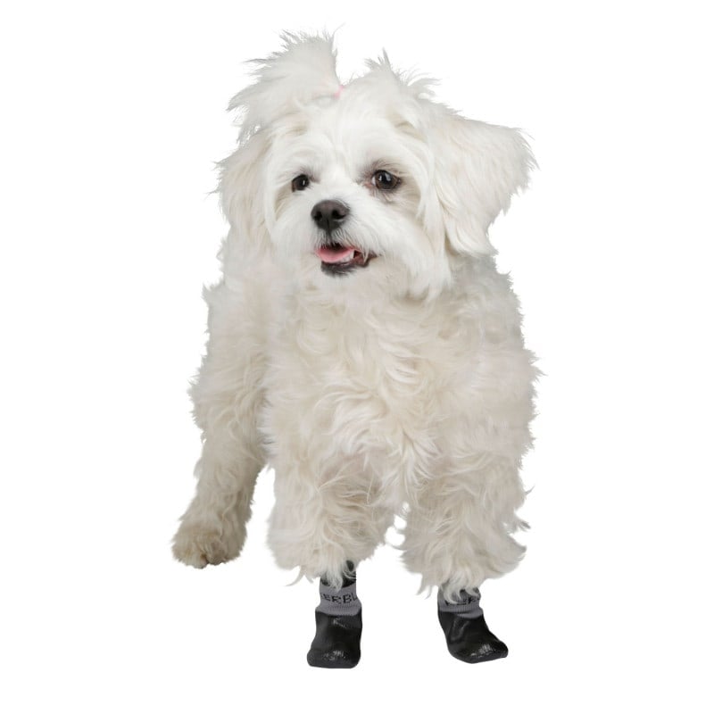 Susi Dog Socks S