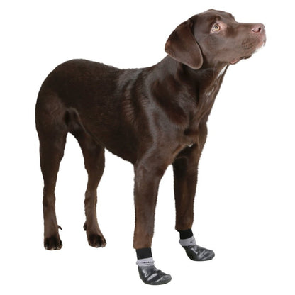 Susi Dog Socks L