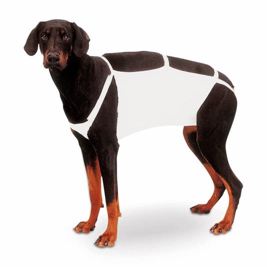 Abdominal Bandage Lauschner 2