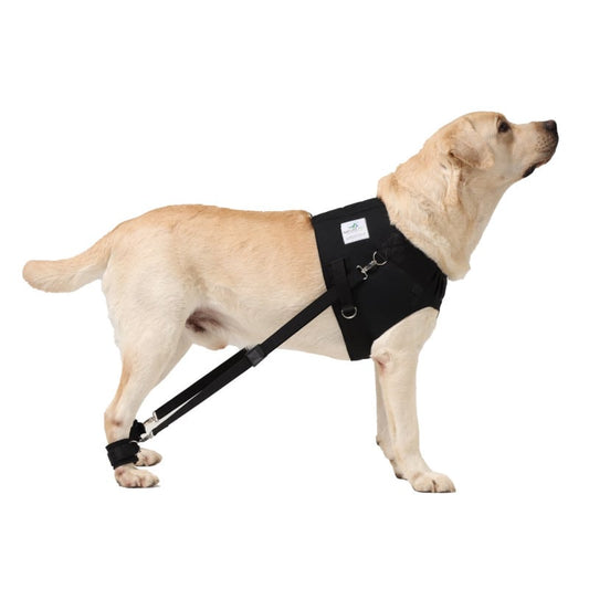FlexiPander Dog Physio Harness XS