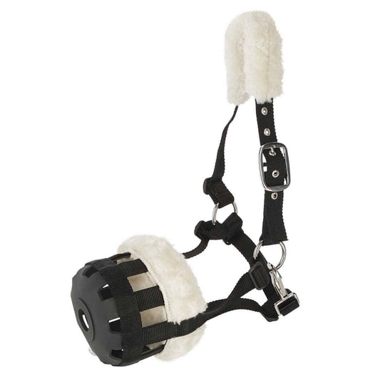 Horse Muzzle Shetty | with teddy fleece