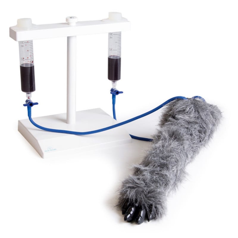 Injection Trainer - Canine Leg