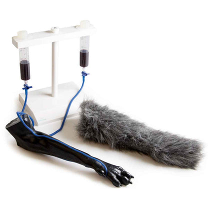 Injection Trainer - Canine Leg