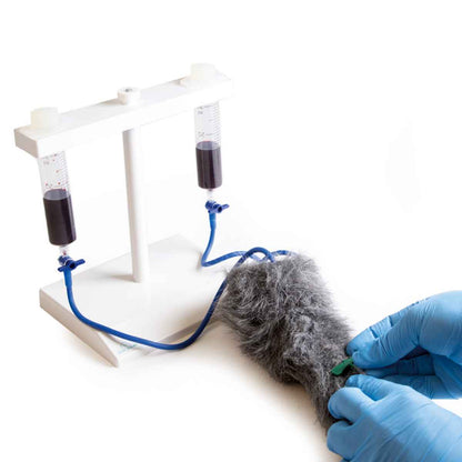 Injection Trainer - Canine Leg