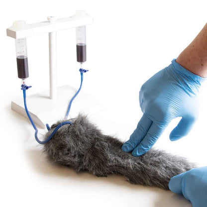 Injection Trainer - Canine Leg