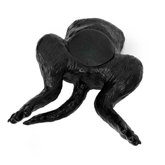 Ultrasound Trainer Dog Bladder