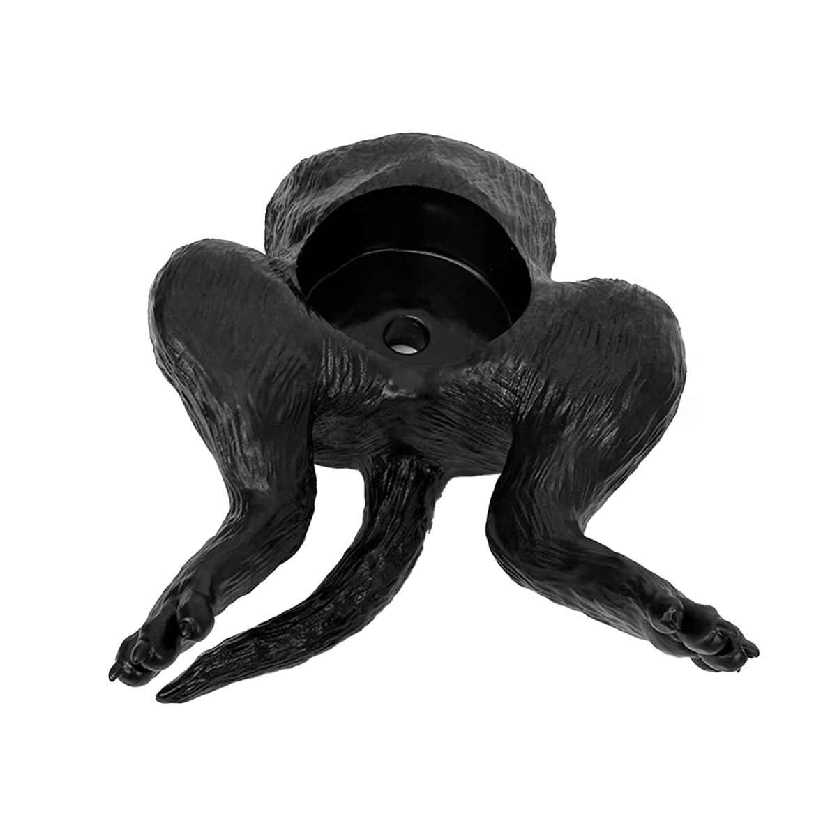 Ultrasound Trainer Dog Bladder