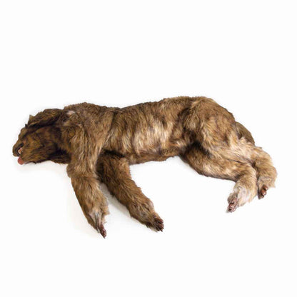 Rocky Canine Positioning Manikin