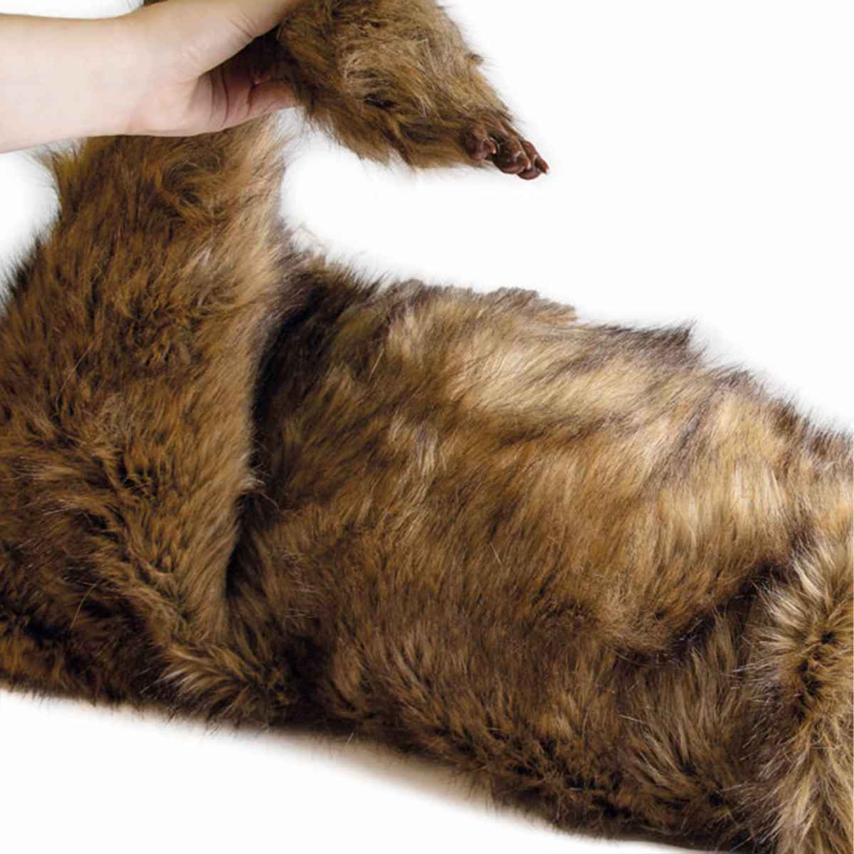 Rocky Canine Positioning Manikin