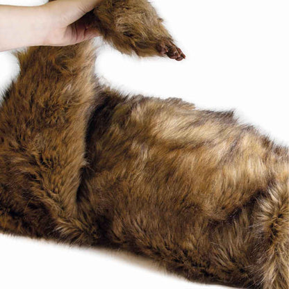 Rocky Canine Positioning Manikin